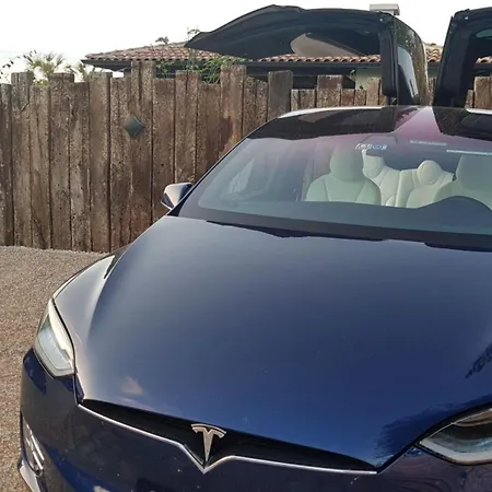 Ladominika * Jursici